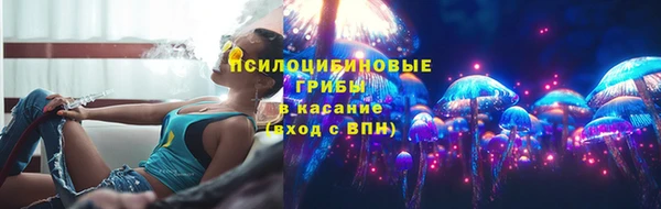 стаф Абинск