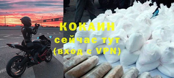 стаф Абинск